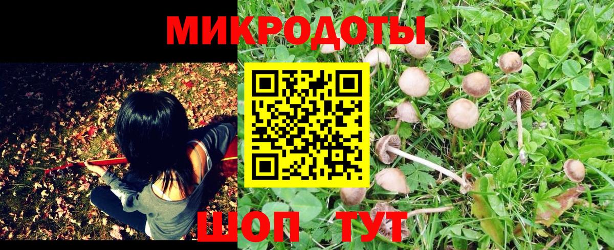 Галлюциногенные грибы мицелий  Псилоцибиновые грибы мухоморы  Баксан  Вход с VPN 
